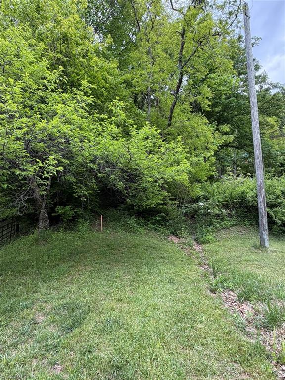 Tbd Ben Bolen Road Creston, NC 28615 - Photo 1 of 22 Gallery Image 1