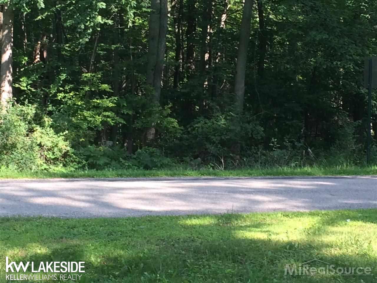 7393 Lighthouse Road Port Hope, MI 48468 - Photo 6 of 11