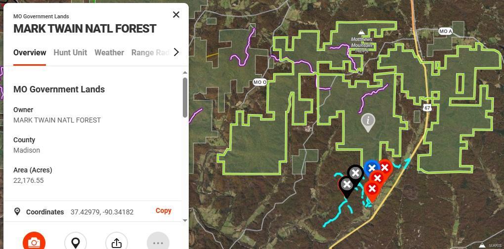 60 Madison Cr Fredericktown, MO 63645 - Photo 4 of 8