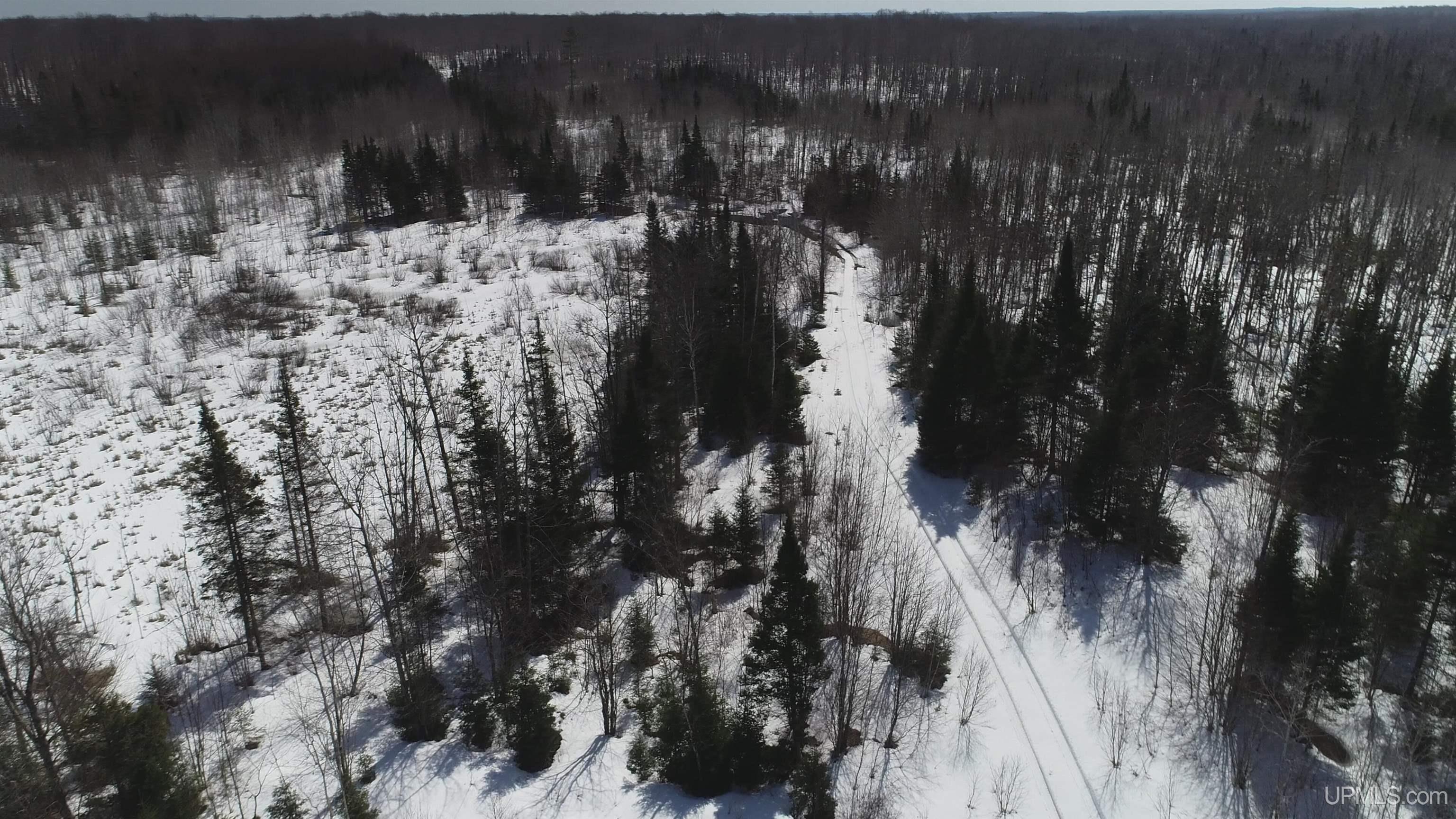 V25 Rd Trenary Mi 49891 Road Rapid River, MI 49878 - Photo 10 of 28