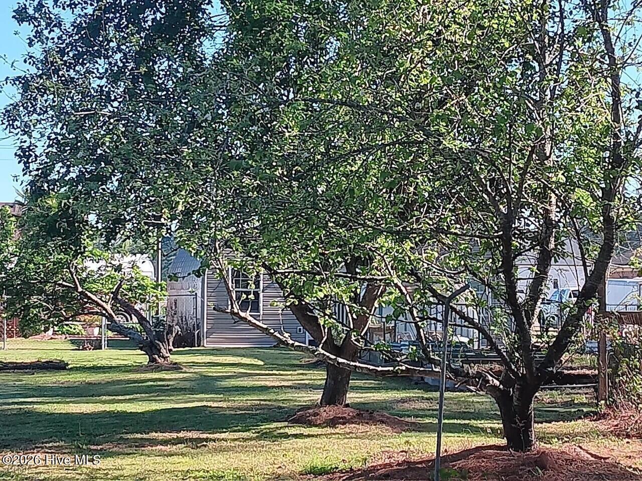 112 Keeter Barn Road South Mills, NC 27976 - Photo 44 of 61 Fruit and nut trees