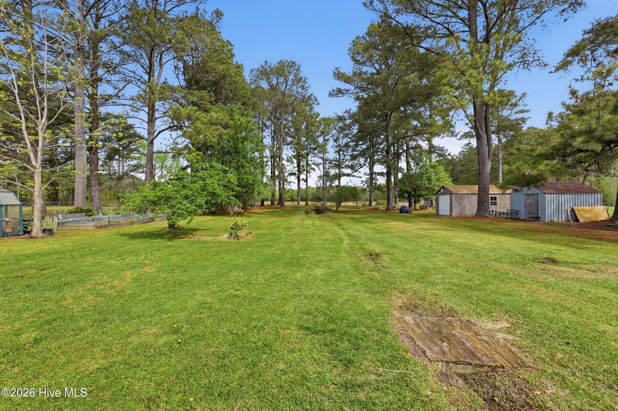 112 Keeter Barn Road South Mills, NC 27976 - Photo 53 of 61 Back yard