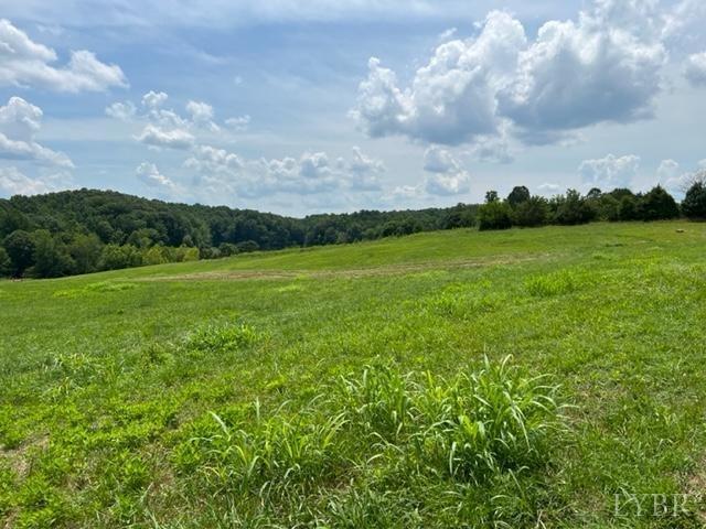 3 South Fork Road Appomattox, VA 24522 - Photo 3 of 5 Gallery Image 3