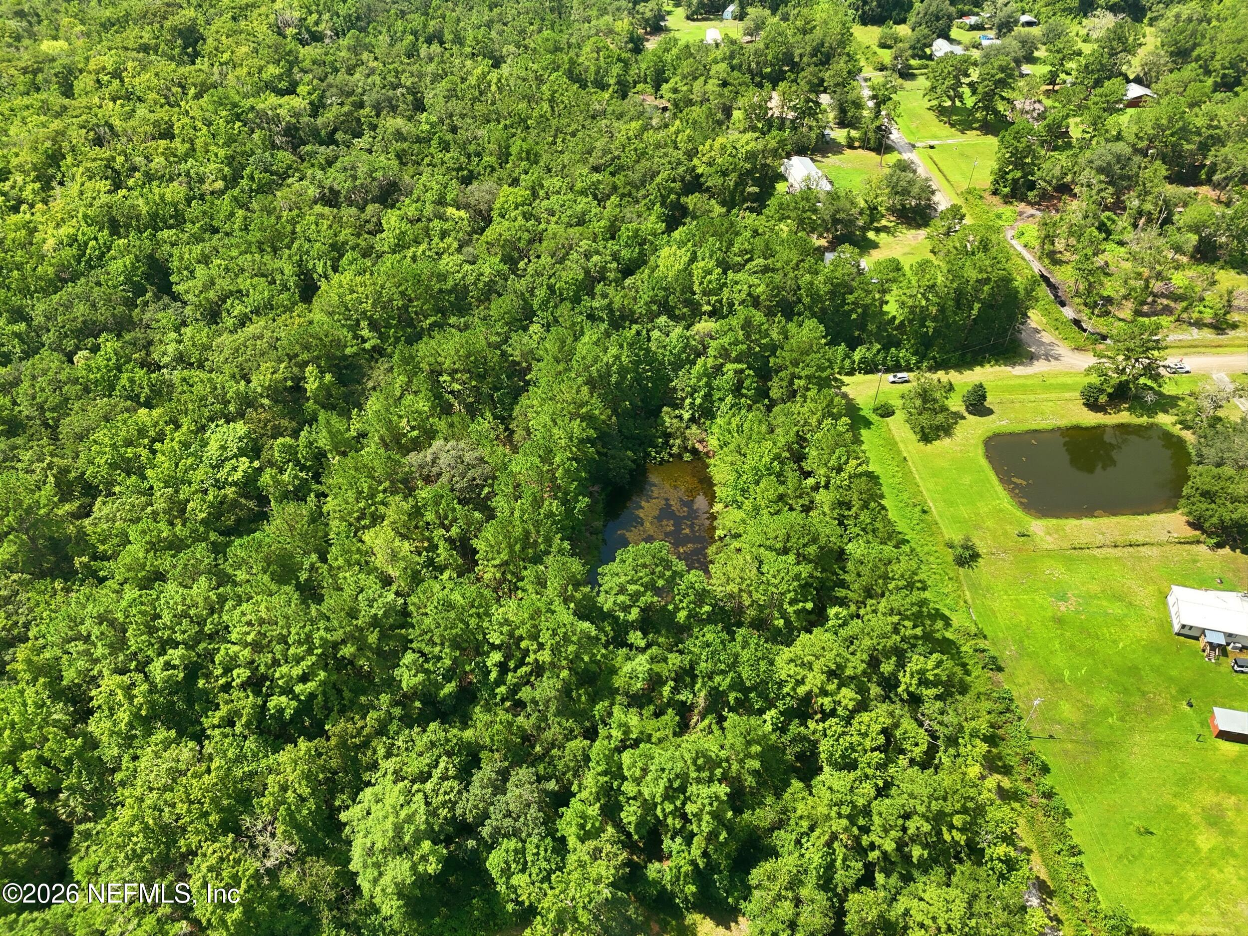 143 Pinetree Road Palatka, FL 32177 - Photo 17 of 33 the real estateographers_009