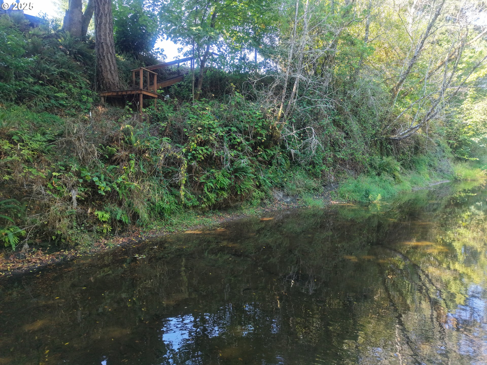 60031 Fairview Road Coquille, OR 97423 - Photo 37 of 47 Greenhouse
