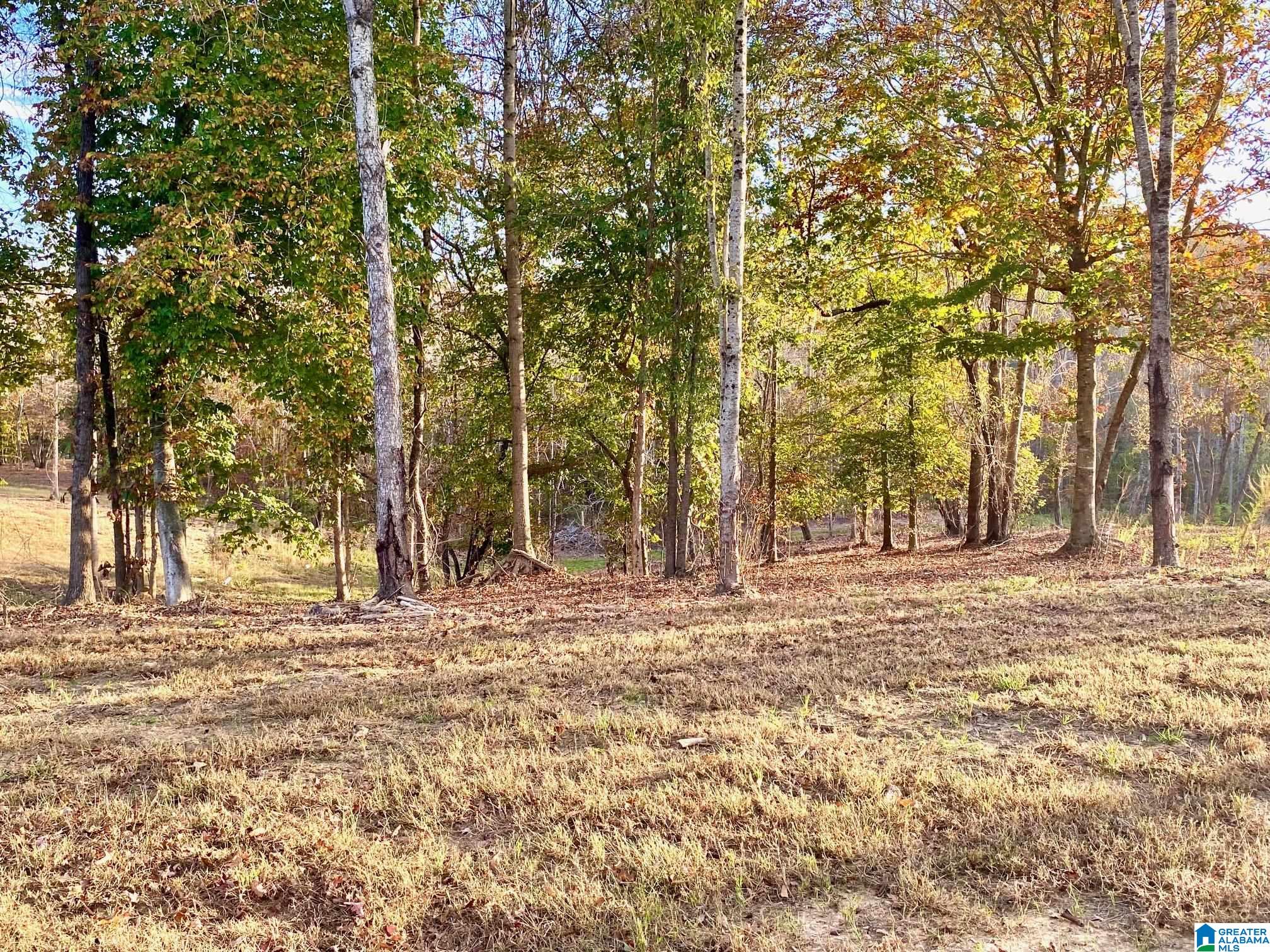 325 County Road 13 Heflin, AL 36264 - Photo 9 of 56