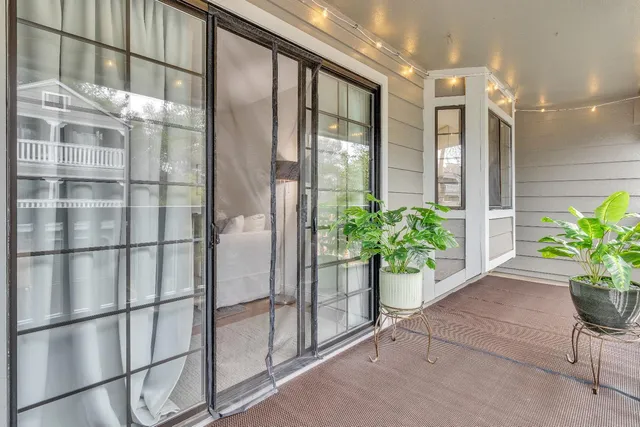 a potted plant in front of a glass door
