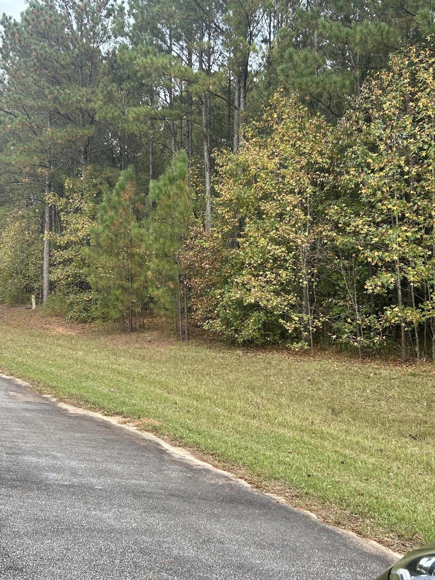 29 Eagle Pointe Tignall, GA 30668 - Photo 3 of 5 IMG-3491