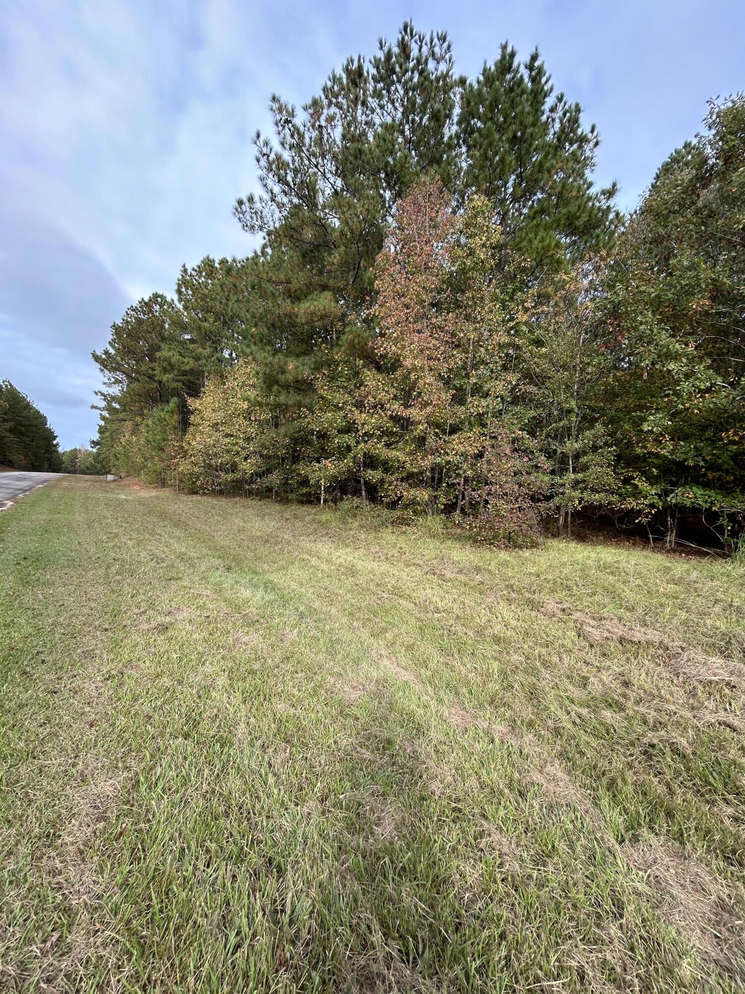 29 Eagle Pointe Tignall, GA 30668 - Photo 5 of 5 IMG-3487 (1)