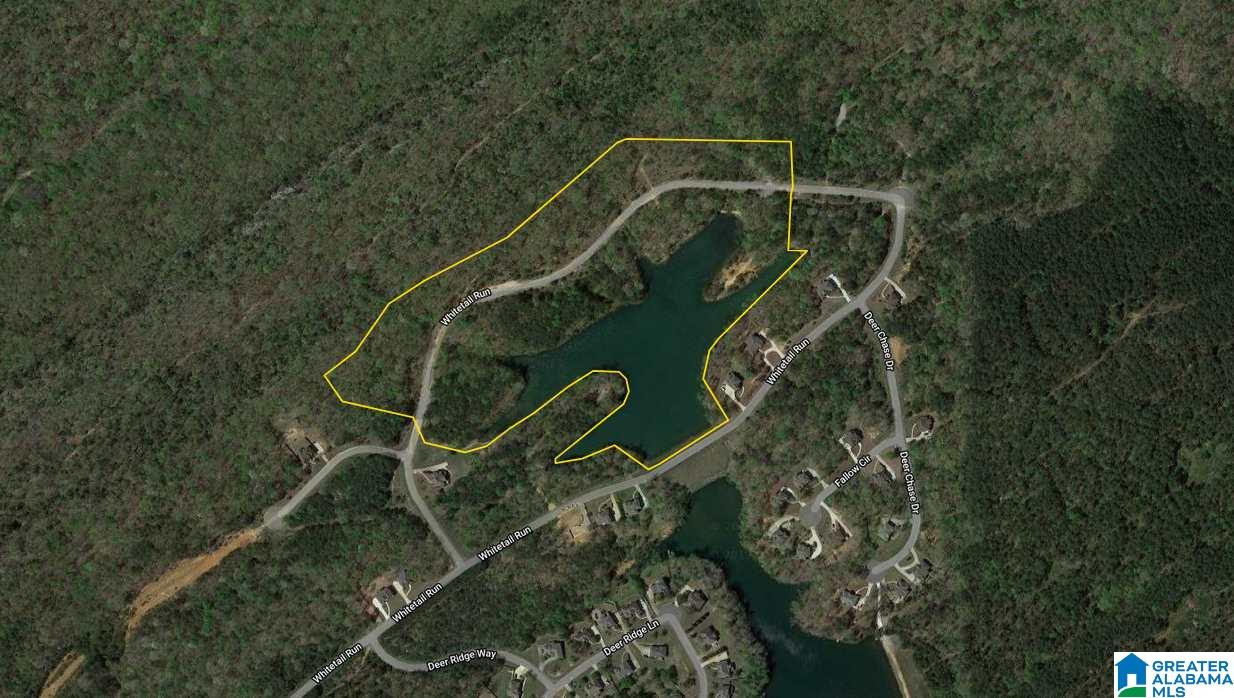 181 Ridgeline Drive, Unit RIDGELINE LAKE TRACT Chelsea, AL 35043 - Photo 7 of 7