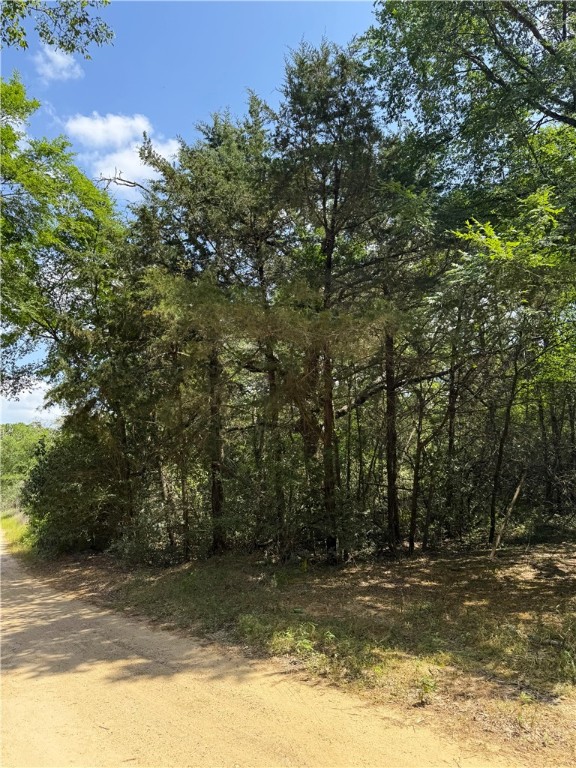 a view of a yard with trees