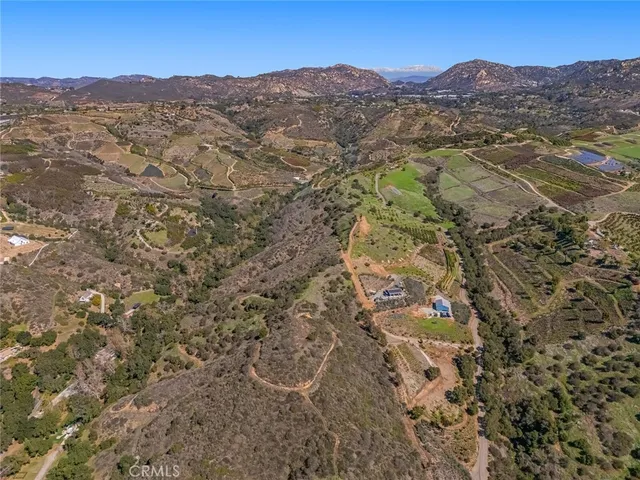 a view of a forest with a pathway
