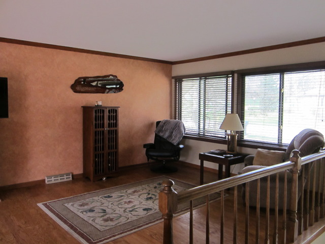 S369 Winfield Road Winfield, IL 60190 - Photo 3 of 25