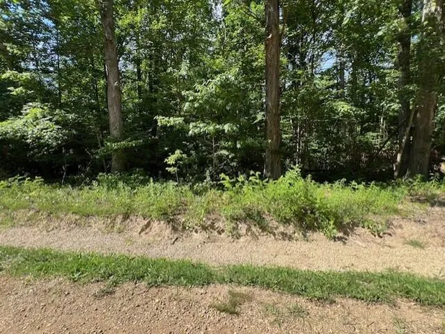 $78,000 | V/l National Parkway, Unit 25, Union Pier, MI 49129