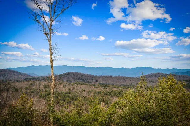 $1,489,000 | 287 Scouts Overlook Lane, Morganton, GA 30560
