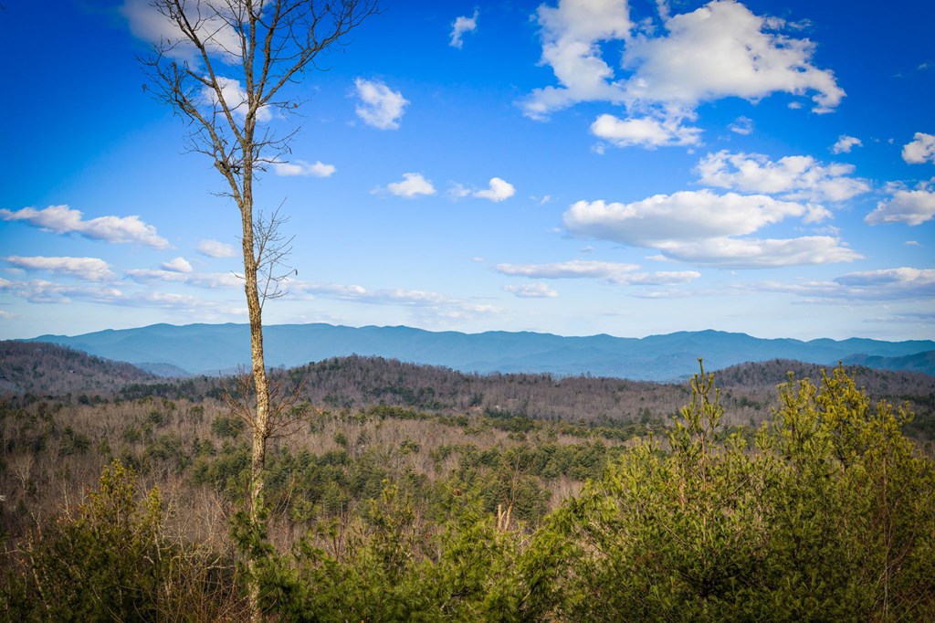 287 Scouts Overlook Lane Morganton, GA 30560 - Photo 40 of 84 a view of mountain with sunset in background