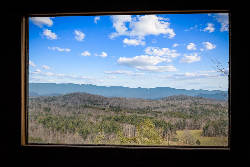 287 Scouts Overlook Lane Morganton, GA 30560 - Photo 42 of 84