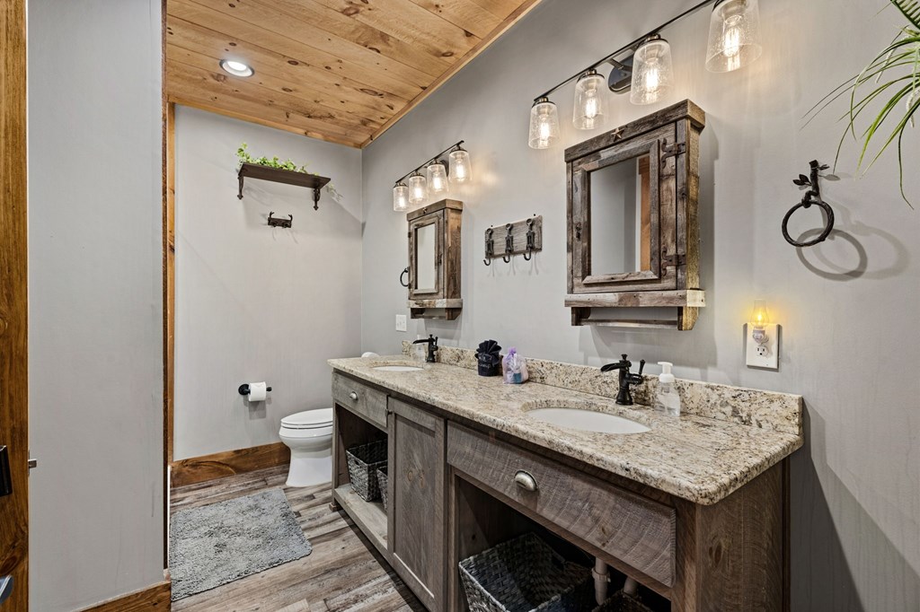 287 Scouts Overlook Lane Morganton, GA 30560 - Photo 49 of 84 a bathroom with a granite countertop sink a toilet and mirror