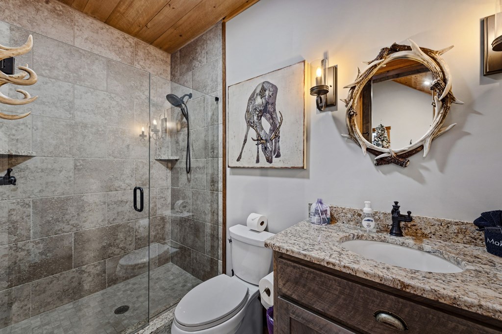 287 Scouts Overlook Lane Morganton, GA 30560 - Photo 65 of 84 a bathroom with a granite countertop toilet a sink and mirror