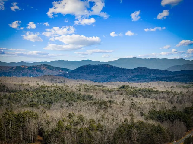 $1,489,000 | 287 Scouts Overlook Lane, Morganton, GA 30560