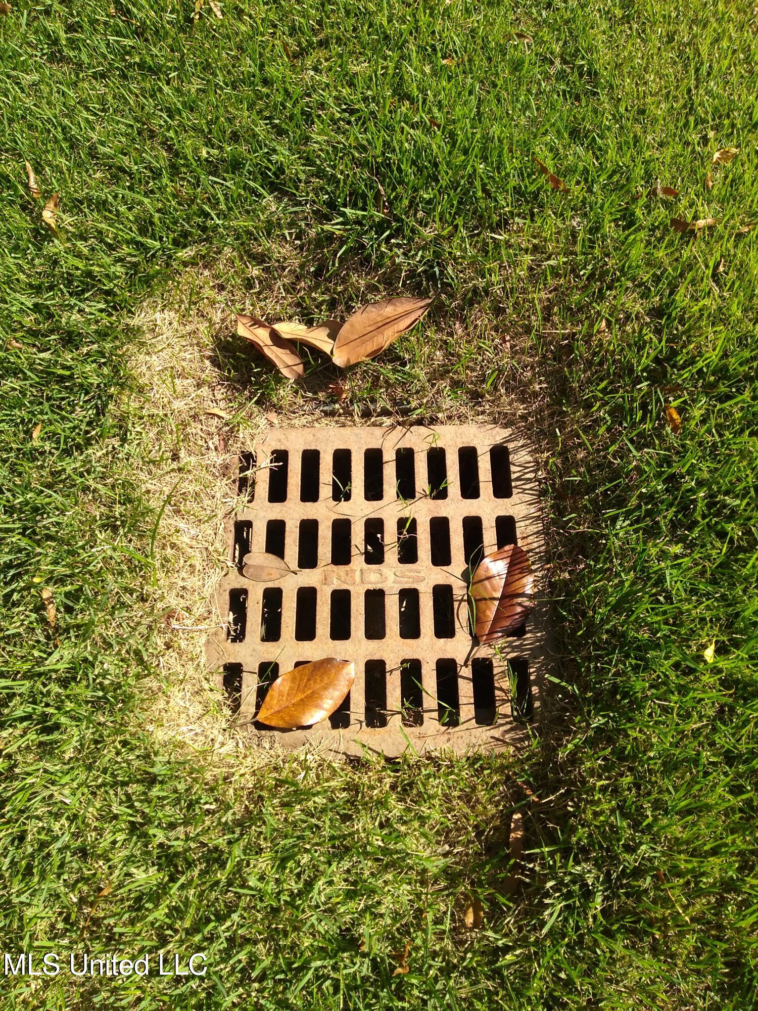 602 Magnolia Drive Indianola, MS 38751 - Photo 49 of 50 IMG_20250908_161526596