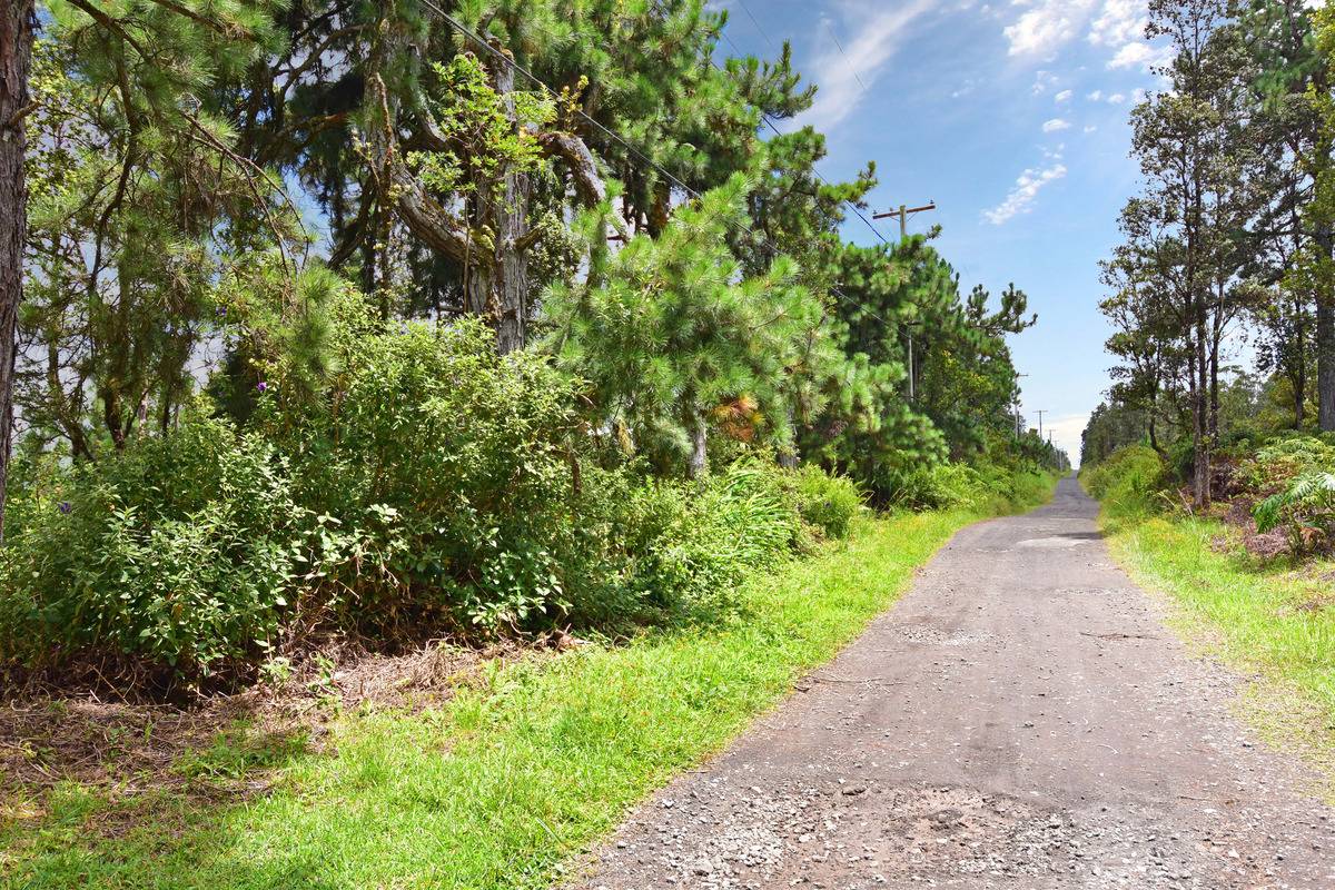61 Ala Naulani Road Mountain View, HI 96771 - Photo 1 of 5 Gallery Image 1