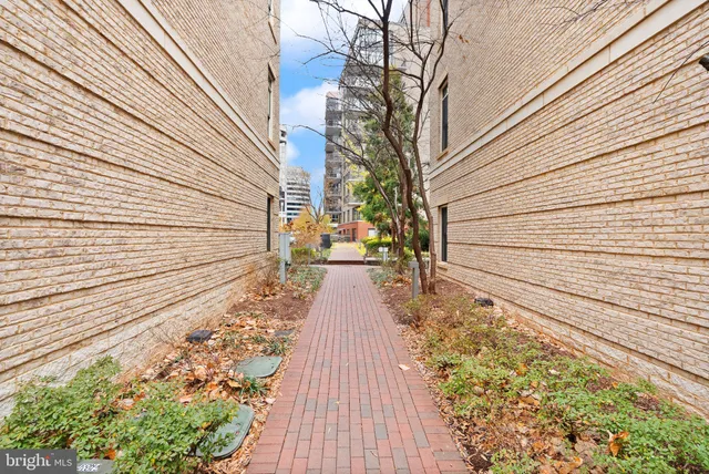 a view of a park with bench and trees