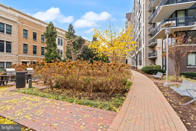 $6,700 | 1508 16th Court North, Arlington, VA 22209