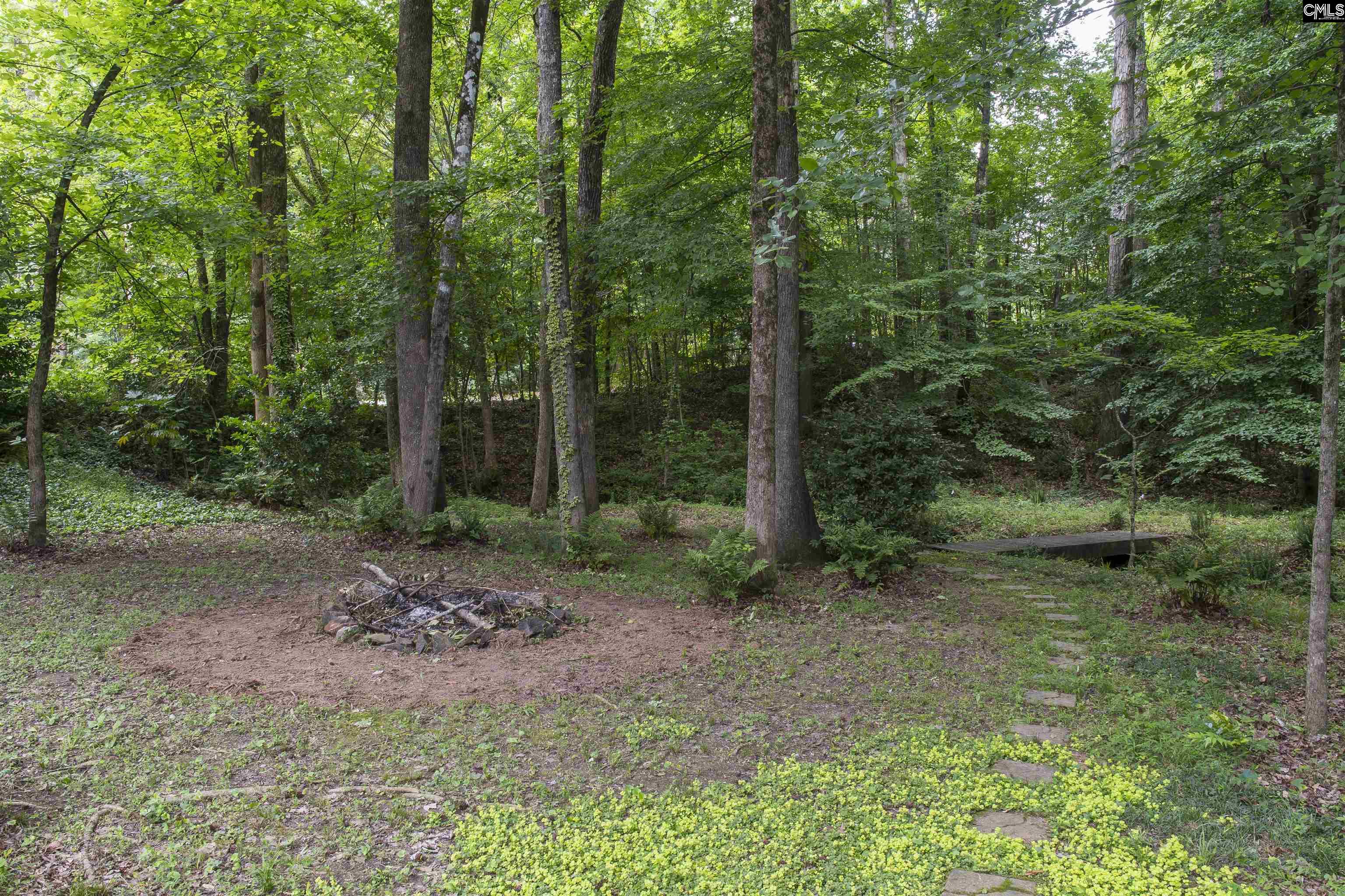 101 Woolbright Avenue Chapin, SC 29036 - Photo 54 of 61