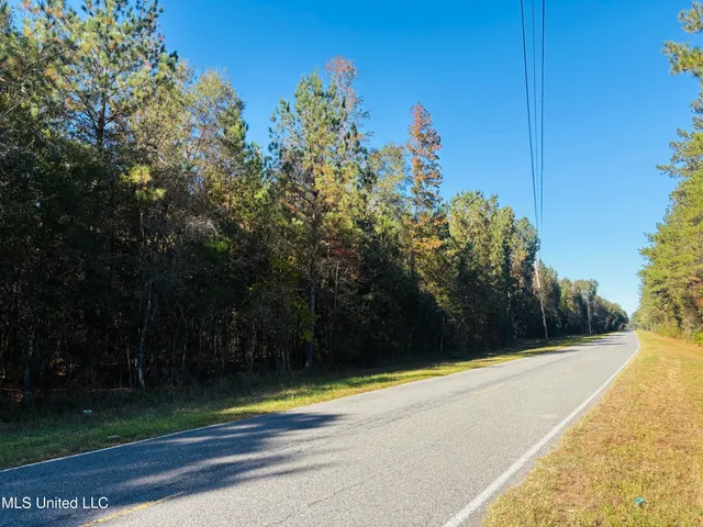$119,000 | Old Avera Road, State Line, MS 39362