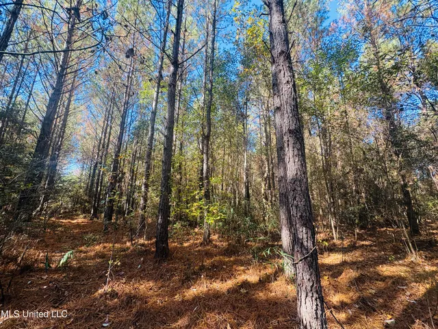 $119,000 | Old Avera Road, State Line, MS 39362