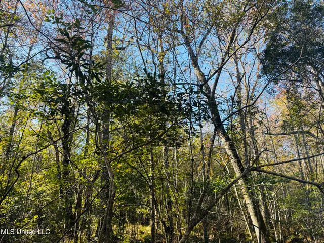 $119,000 | Old Avera Road, State Line, MS 39362