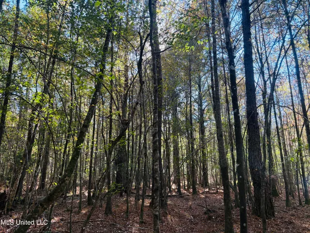 $119,000 | Old Avera Road, State Line, MS 39362