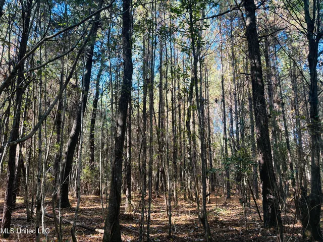 $119,000 | Old Avera Road, State Line, MS 39362