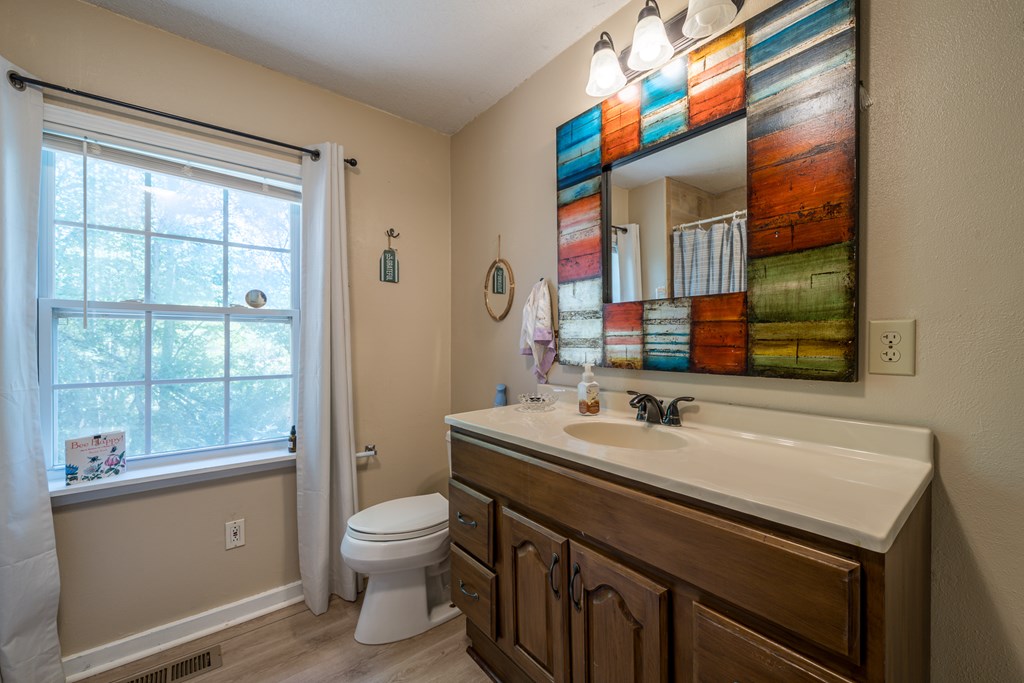 1813 John Smith Road East Blairsville, GA 30512 - Photo 23 of 41 a bathroom with a sink a toilet and a mirror