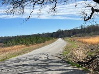 2410 Bethlehem Road Batesville, MS 38606 - Photo 4 of 4 IMG_0758