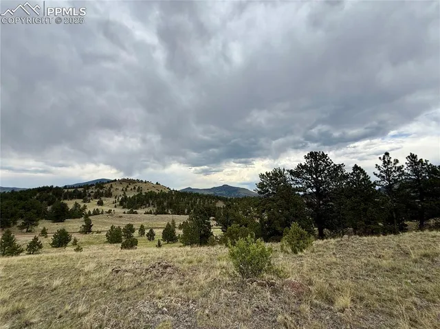 a view of a sky from a yard