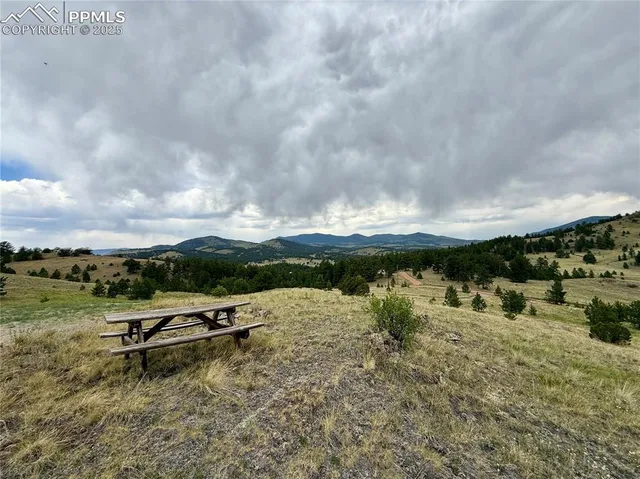 a view of outside space and a yard