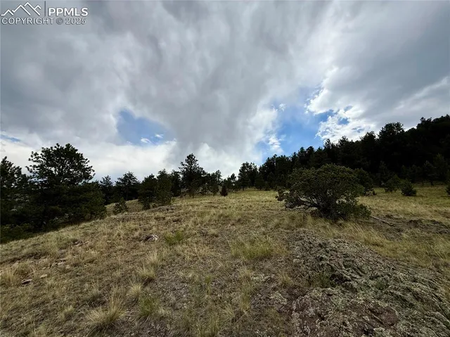 a view of a dry yard with wooden fence