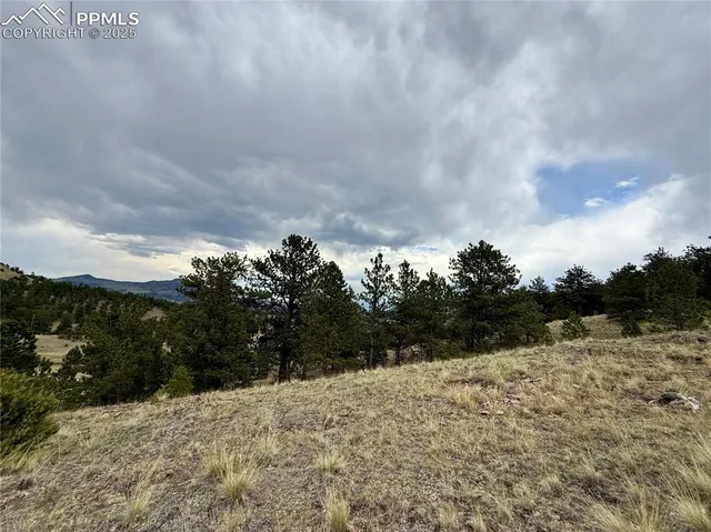 a view of grassy field with trees