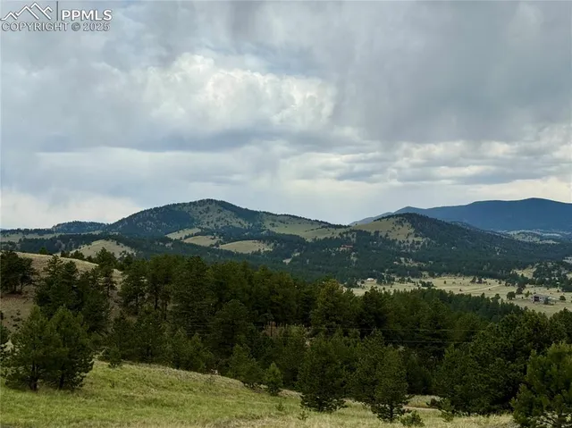 a view of a lush green field with a tree in the background