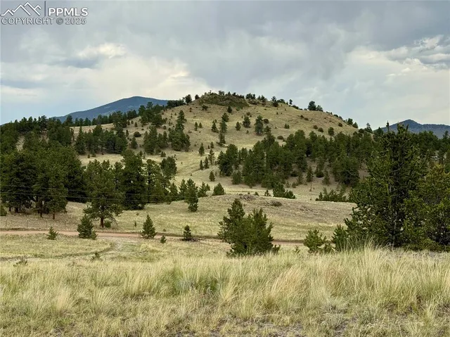 $170,000 | 682 Nancy Ann Arroyo, Guffey, CO 80820