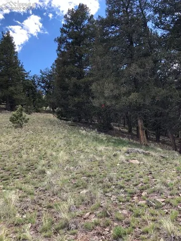 $170,000 | 682 Nancy Ann Arroyo, Guffey, CO 80820