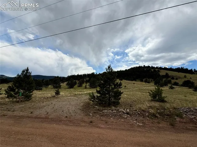 a view of dirt field with large trees