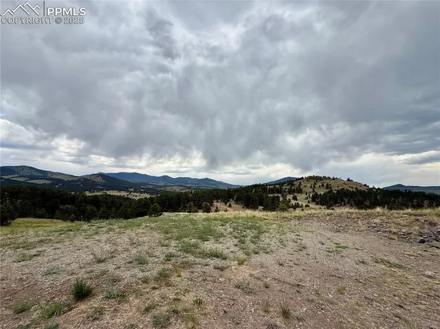 a view of a pathway with a houses in the background
