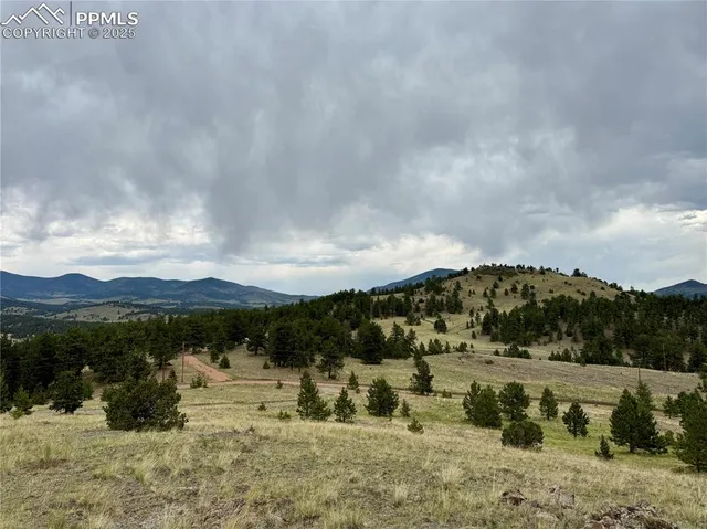 a view of a sky from a yard
