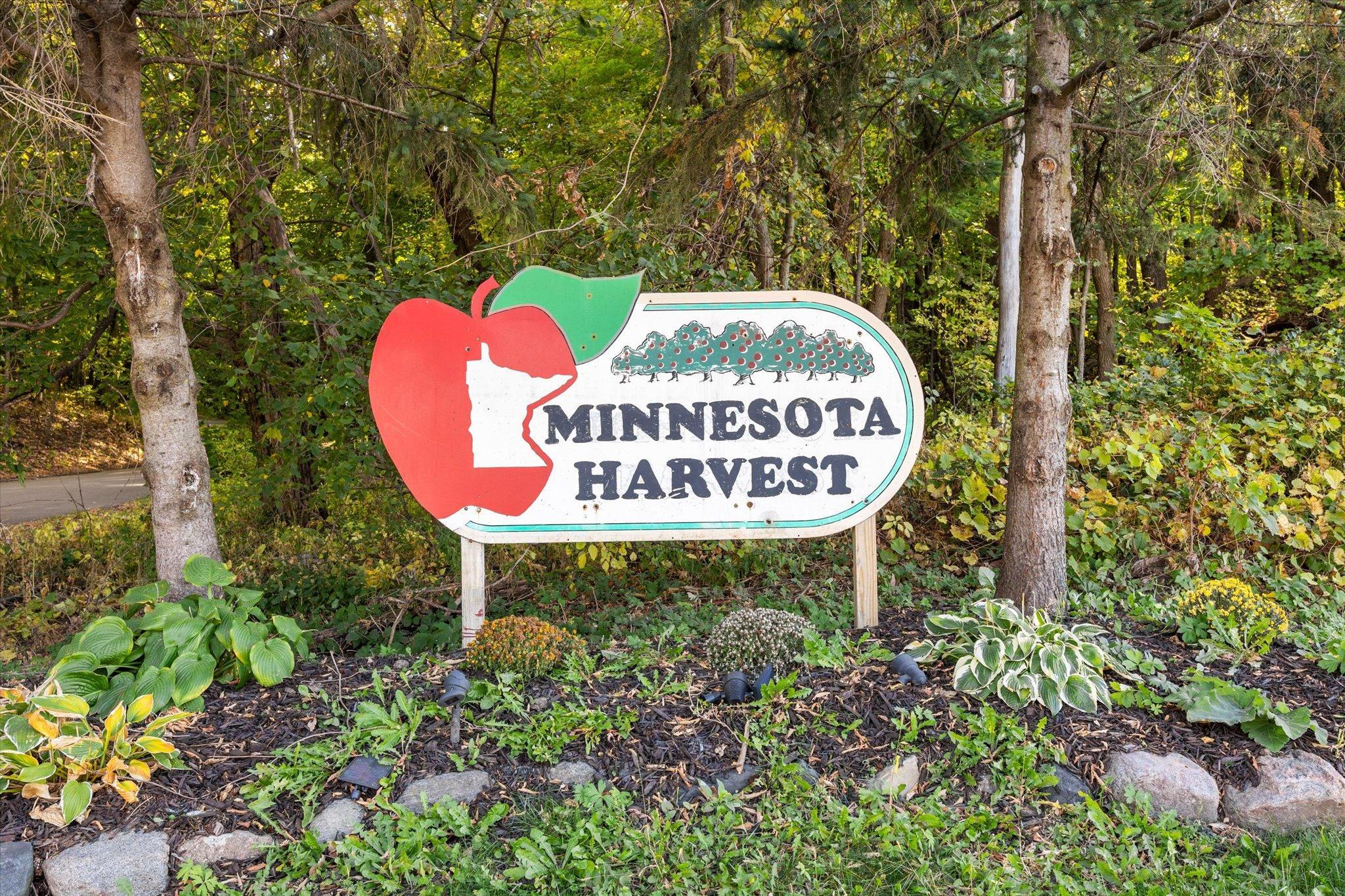 1083 Shoreview Drive Jordan, MN 55352 - Photo 36 of 49