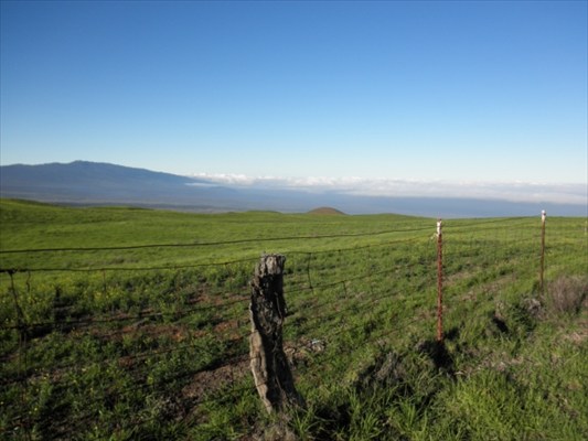 128 Lot 128 Wainoenoe Road Kamuela, HI 96743 - Photo 1 of 25 a view of a city with lush green forest