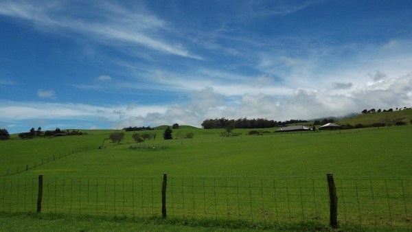 128 Lot 128 Wainoenoe Road Kamuela, HI 96743 - Photo 20 of 25 a view of a lake with a big yard