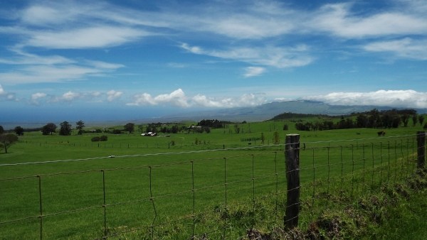 128 Lot 128 Wainoenoe Road Kamuela, HI 96743 - Photo 25 of 25 a view of a golf course with a houses